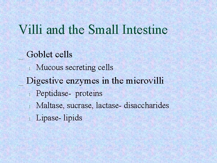 Villi and the Small Intestine _ Goblet cells l Mucous secreting cells _ Digestive