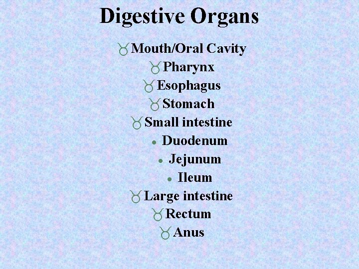 Digestive Organs Mouth/Oral Cavity Pharynx Esophagus Stomach Small intestine Duodenum Jejunum Ileum Large intestine Digestive Organs Mouth/Oral Cavity Pharynx Esophagus Stomach Small intestine Duodenum Jejunum Ileum Large intestine