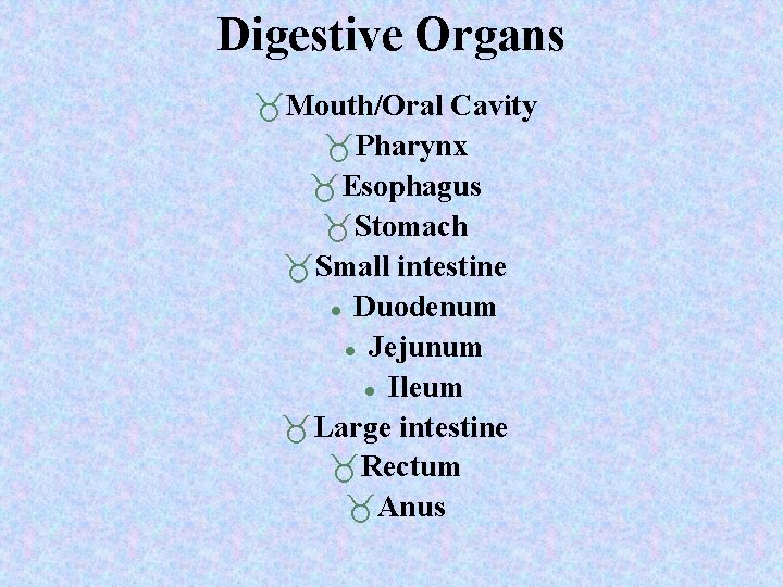 Digestive Organs Mouth/Oral Cavity Pharynx Esophagus Stomach Small intestine Duodenum Jejunum Ileum Large intestine