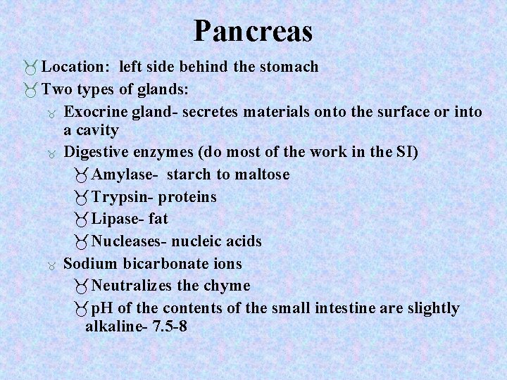 Pancreas Location: left side behind the stomach Two types of glands: Exocrine gland- secretes Pancreas Location: left side behind the stomach Two types of glands: Exocrine gland- secretes
