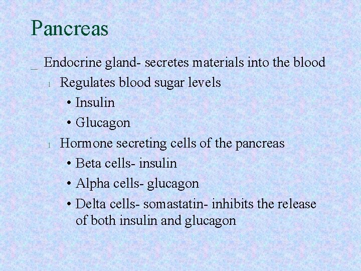 Pancreas _ Endocrine gland- secretes materials into the blood l Regulates blood sugar levels Pancreas _ Endocrine gland- secretes materials into the blood l Regulates blood sugar levels