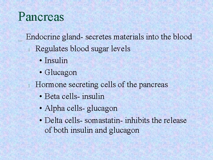 Pancreas _ Endocrine gland- secretes materials into the blood l Regulates blood sugar levels