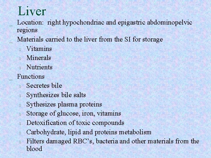 Liver _ Location: right hypochondriac and epigastric abdominopelvic regions _ Materials carried to the