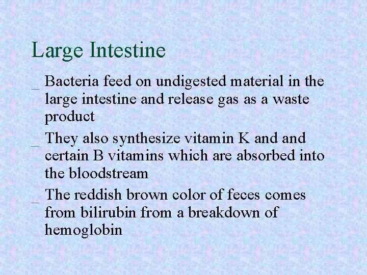 Large Intestine _ Bacteria feed on undigested material in the large intestine and release