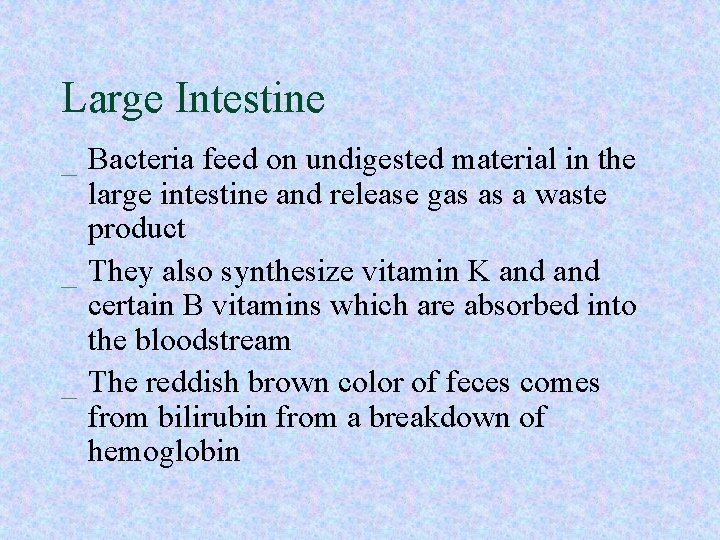 Large Intestine _ Bacteria feed on undigested material in the large intestine and release Large Intestine _ Bacteria feed on undigested material in the large intestine and release