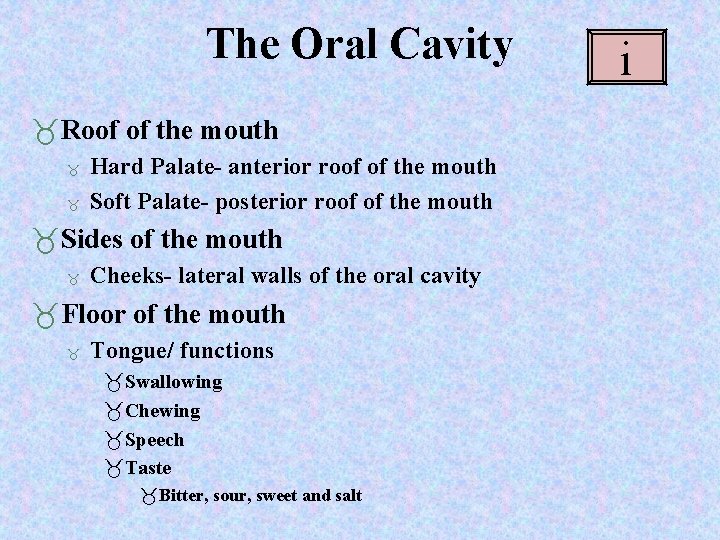 The Oral Cavity Roof of the mouth Hard Palate- anterior roof of the mouth The Oral Cavity Roof of the mouth Hard Palate- anterior roof of the mouth