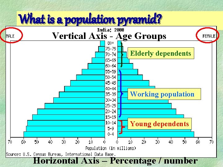 What is a population pyramid? Vertical Axis - Age Groups Elderly dependents Working population What is a population pyramid? Vertical Axis - Age Groups Elderly dependents Working population