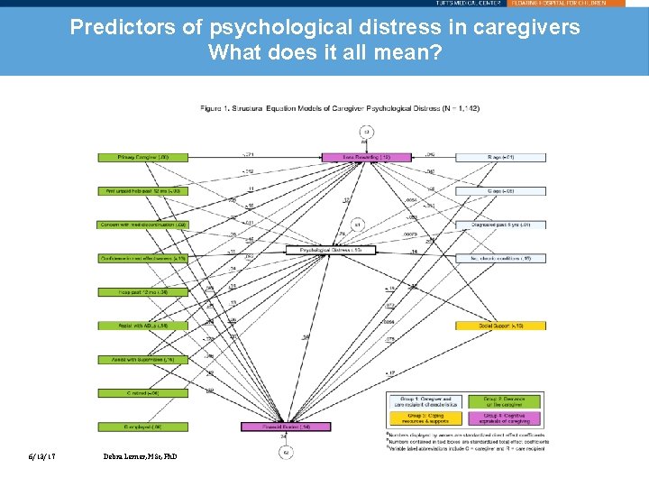 Predictors of psychological distress in caregivers What does it all mean? 6/13/17 Debra Lerner,