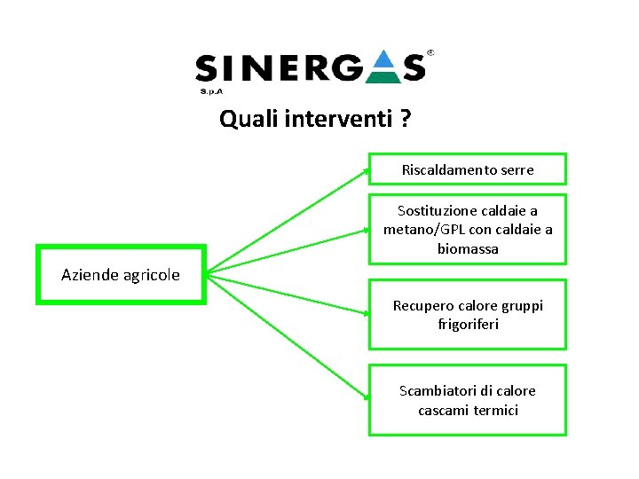 Quali interventi ? Riscaldamento serre Sostituzione caldaie a metano/GPL con caldaie a biomassa Aziende