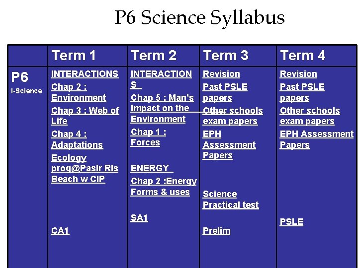 P 6 Science Syllabus P 6 I-Science Term 1 Term 2 Term 3 Term