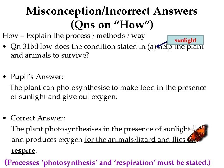 Misconception/Incorrect Answers (Qns on “How”) How – Explain the process / methods / way