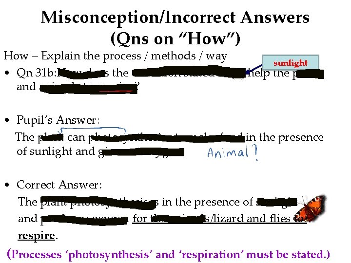 Misconception/Incorrect Answers (Qns on “How”) How – Explain the process / methods / way