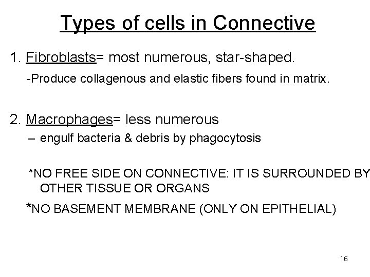 Types of cells in Connective 1. Fibroblasts= most numerous, star-shaped. -Produce collagenous and elastic