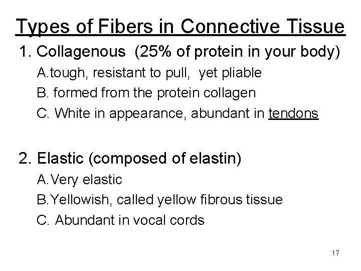 Types of Fibers in Connective Tissue 1. Collagenous (25% of protein in your body)