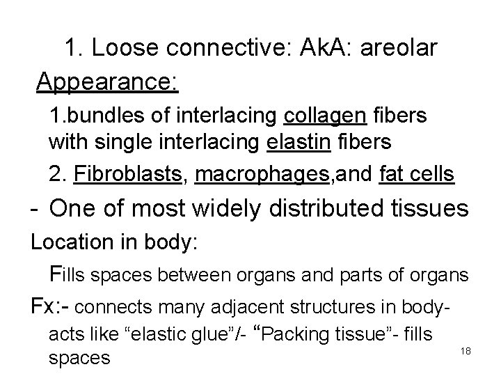 1. Loose connective: Ak. A: areolar Appearance: 1. bundles of interlacing collagen fibers with