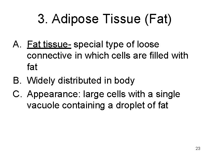 3. Adipose Tissue (Fat) A. Fat tissue- special type of loose connective in which