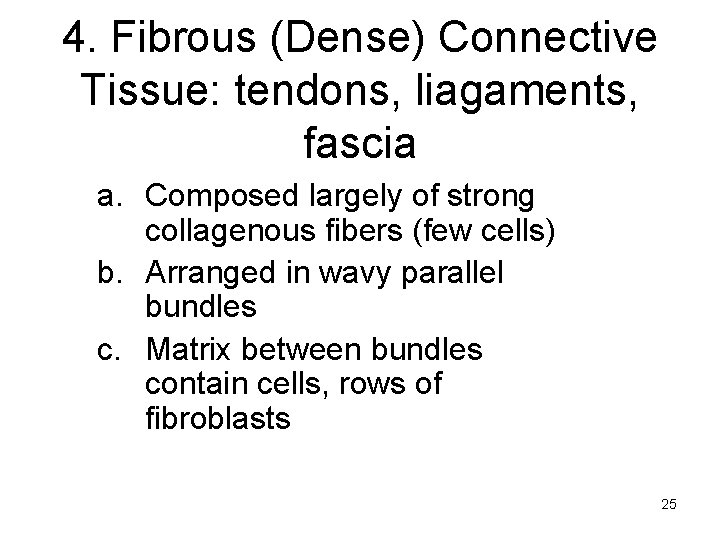 4. Fibrous (Dense) Connective Tissue: tendons, liagaments, fascia a. Composed largely of strong collagenous