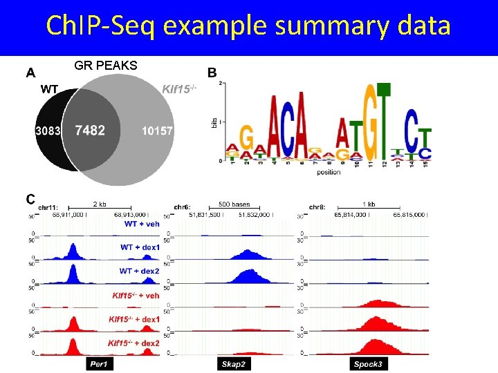 Ch. IP-Seq example summary data GR PEAKS 