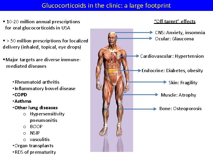 Glucocorticoids in the clinic: a large footprint § 10 -20 million annual prescriptions for