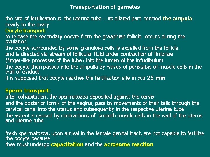 Transportation of gametes the site of fertilisation is the uterine tube – its dilated
