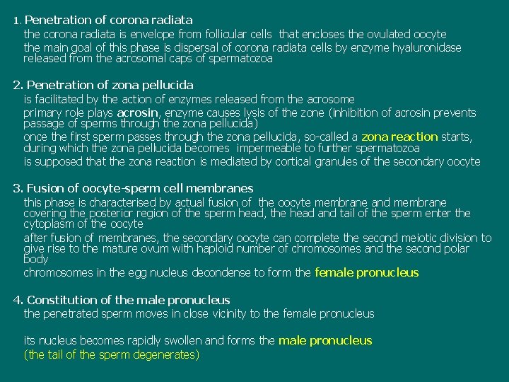 1. Penetration of corona radiata the corona radiata is envelope from follicular cells that