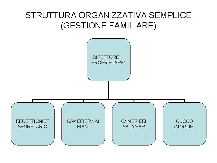 STRUTTURA ORGANIZZATIVA SEMPLICE (GESTIONE FAMILIARE) DIRETTORE – PROPRIETARIO RECEPTIONIST SEGRETARIO CAMERIERA AI PIANI CAMERIERI