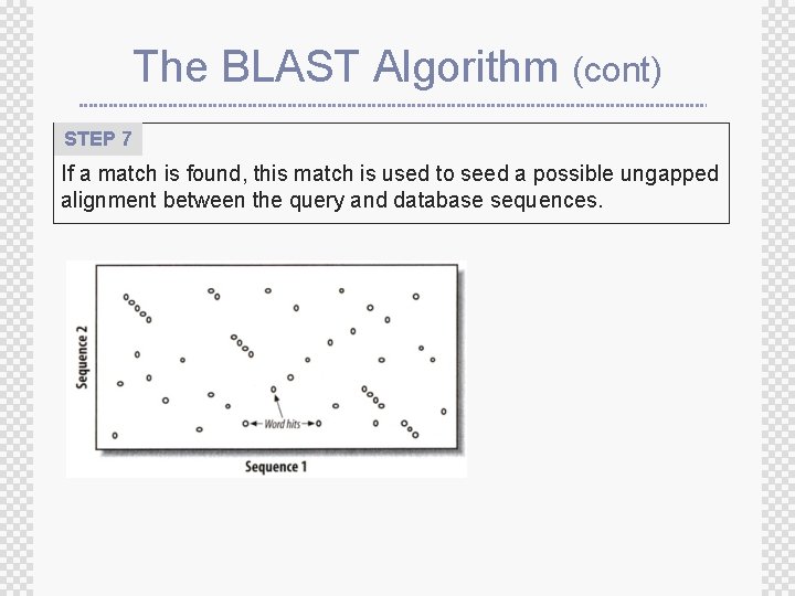 The BLAST Algorithm (cont) STEP 7 If a match is found, this match is