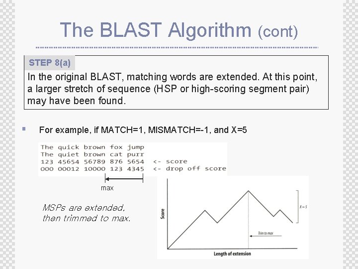 The BLAST Algorithm (cont) STEP 8(a) In the original BLAST, matching words are extended.