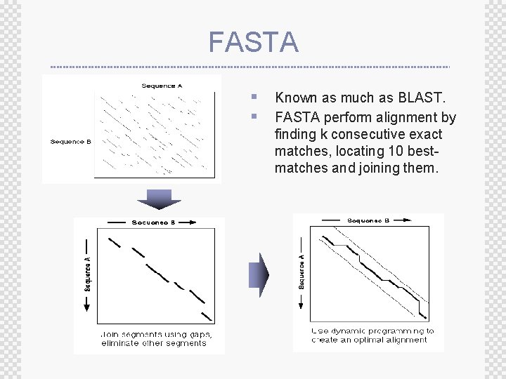 FASTA § Known as much as BLAST. § FASTA perform alignment by finding k