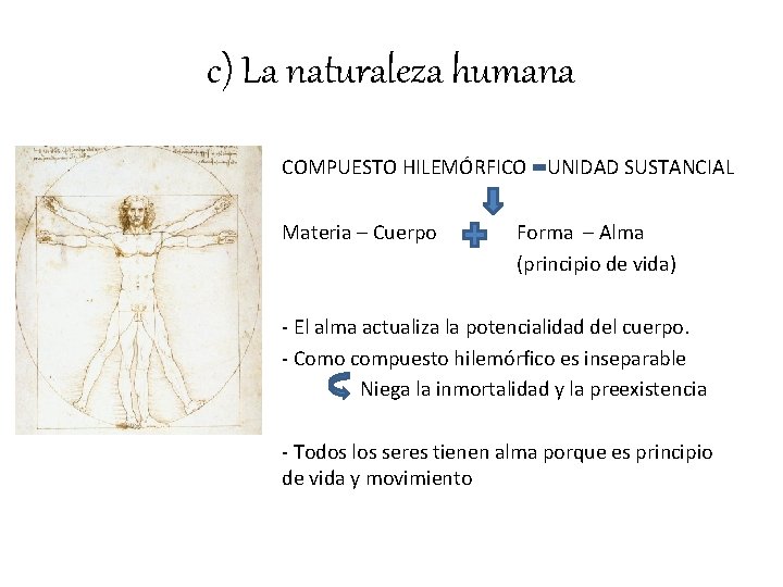 c) La naturaleza humana COMPUESTO HILEMÓRFICO UNIDAD SUSTANCIAL Materia – Cuerpo Forma – Alma