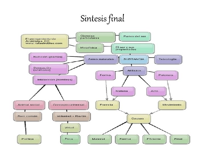 Sintesis final 