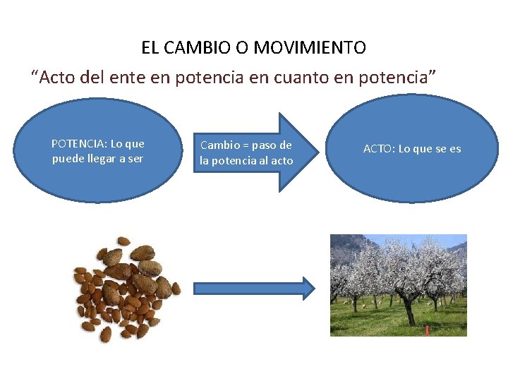 EL CAMBIO O MOVIMIENTO “Acto del ente en potencia en cuanto en potencia” POTENCIA: