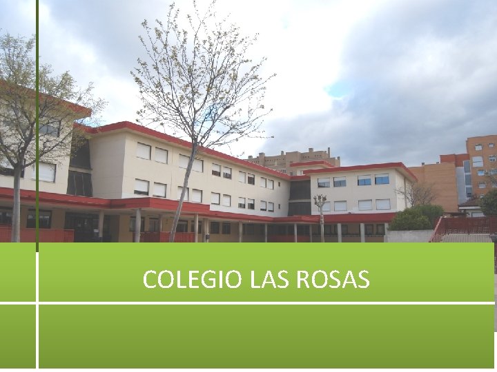 COLEGIO LAS ROSAS 