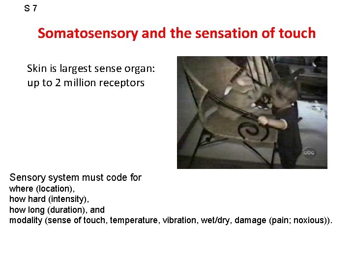 S 7 Somatosensory and the sensation of touch Skin is largest sense organ: up