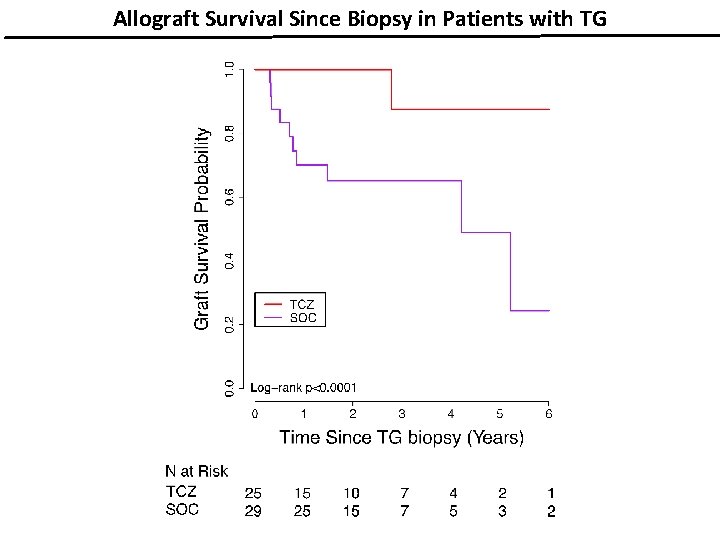 Allograft Survival Since Biopsy in Patients with TG 