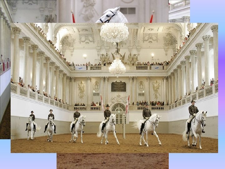 Spanish Riding School 