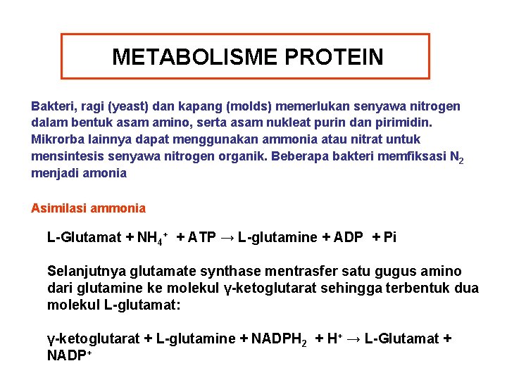 METABOLISME PROTEIN Bakteri, ragi (yeast) dan kapang (molds) memerlukan senyawa nitrogen dalam bentuk asam