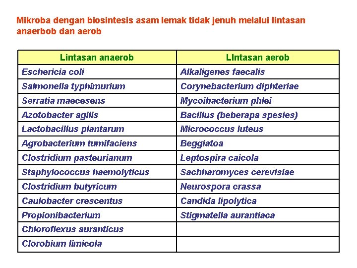 Mikroba dengan biosintesis asam lemak tidak jenuh melalui lintasan anaerbob dan aerob Lintasan anaerob