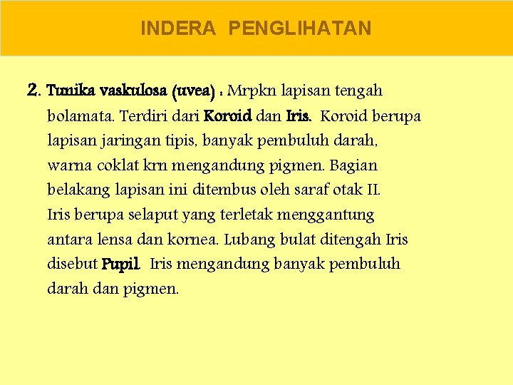 INDERA PENGLIHATAN 2. Tunika vaskulosa (uvea) : Mrpkn lapisan tengah bolamata. Terdiri dari Koroid