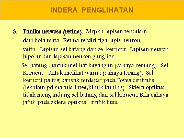 INDERA PENGLIHATAN 3. Tunika nervosa (retina). Mrpkn lapisan terdalam dari bola mata. Retina terdiri