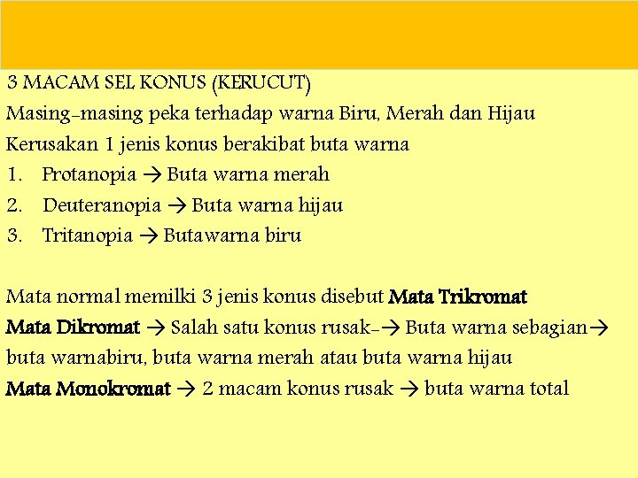 3 MACAM SEL KONUS (KERUCUT) Masing-masing peka terhadap warna Biru, Merah dan Hijau Kerusakan