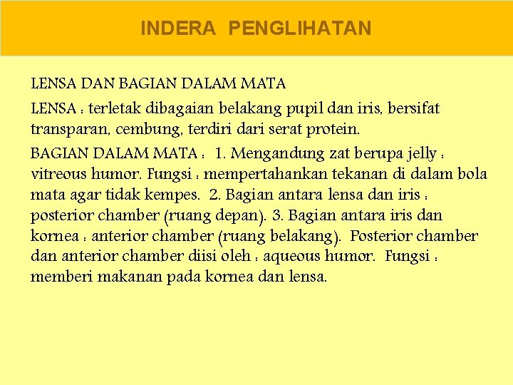 INDERA PENGLIHATAN LENSA DAN BAGIAN DALAM MATA LENSA : terletak dibagaian belakang pupil dan