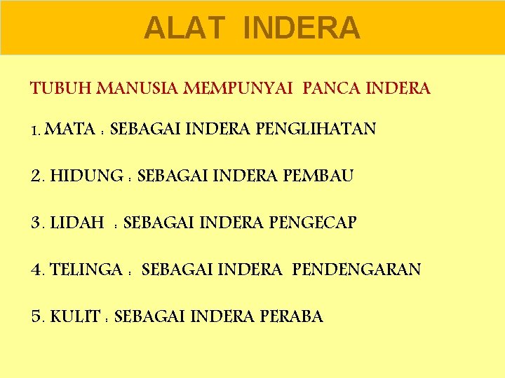 ALAT INDERA TUBUH MANUSIA MEMPUNYAI PANCA INDERA 1. MATA : SEBAGAI INDERA PENGLIHATAN 2.