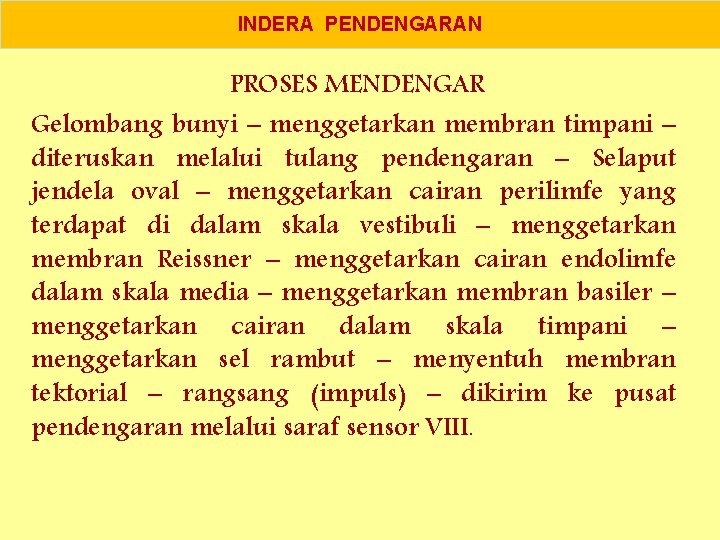 INDERA PENDENGARAN PROSES MENDENGAR Gelombang bunyi – menggetarkan membran timpani – diteruskan melalui tulang