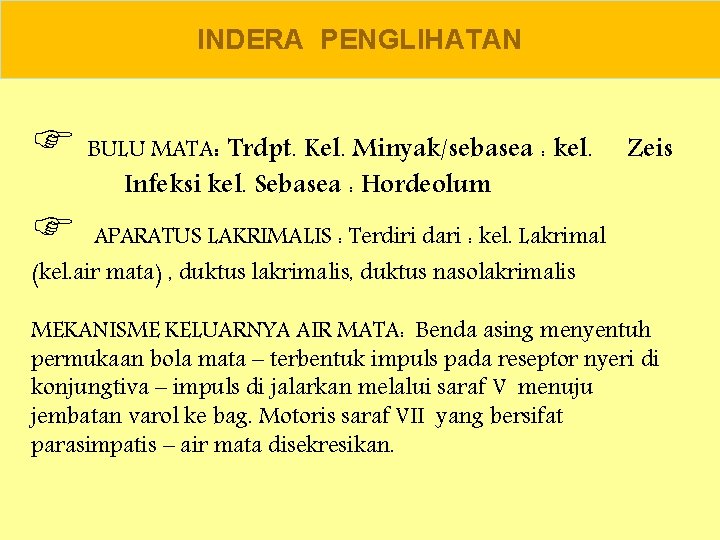 INDERA PENGLIHATAN BULU MATA: Trdpt. Kel. Minyak/sebasea : kel. Infeksi kel. Sebasea : Hordeolum