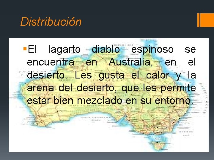 Distribución §El lagarto diablo espinoso se encuentra en Australia, en el desierto. Les gusta