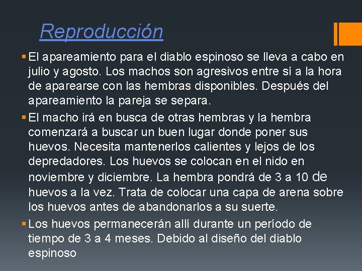 Reproducción § El apareamiento para el diablo espinoso se lleva a cabo en julio