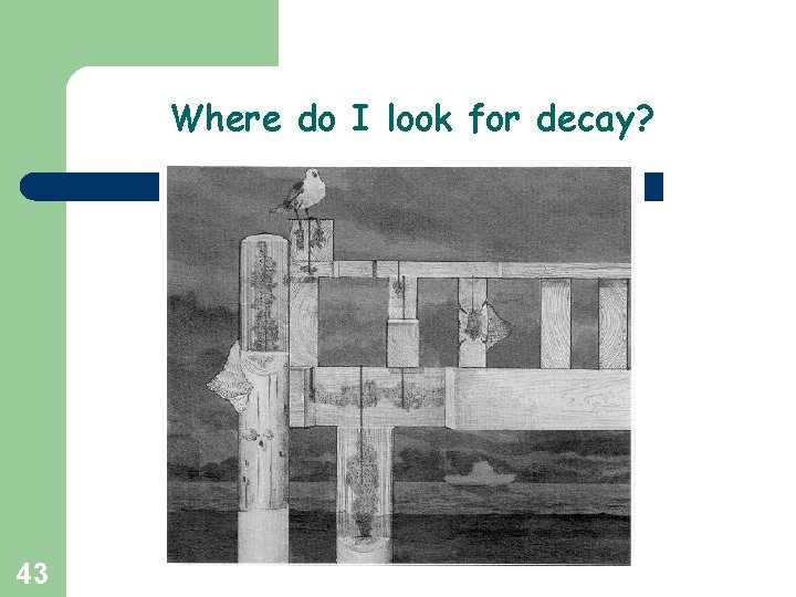Where do I look for decay? 43 