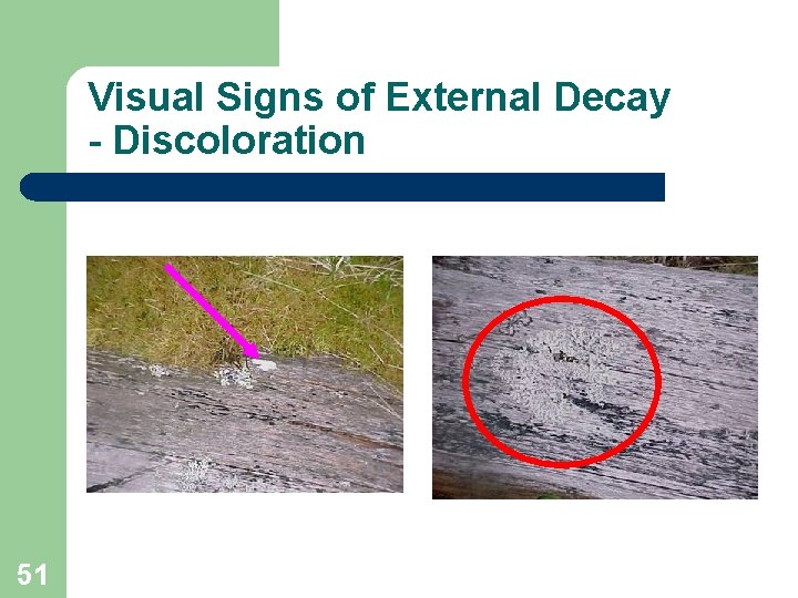 Visual Signs of External Decay - Discoloration 51 