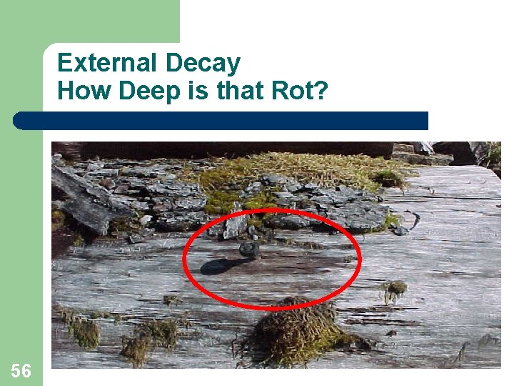 External Decay How Deep is that Rot? 56 